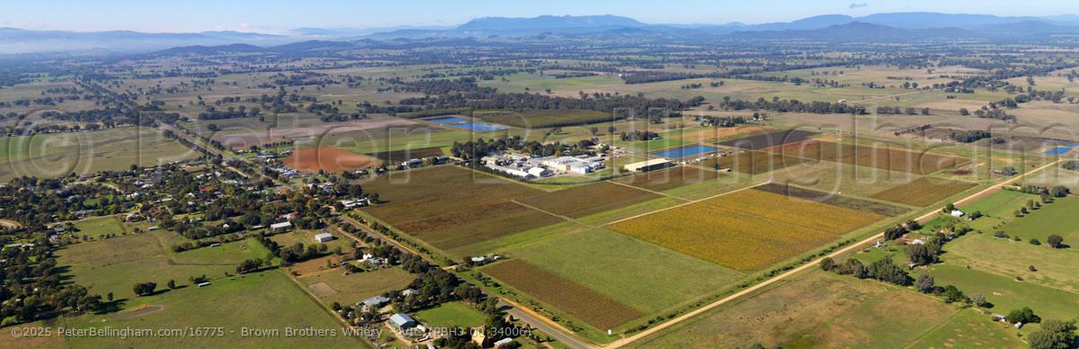 Peter Bellingham Photography Brown Brothers Winery - VIC (PBH3 00 34006)